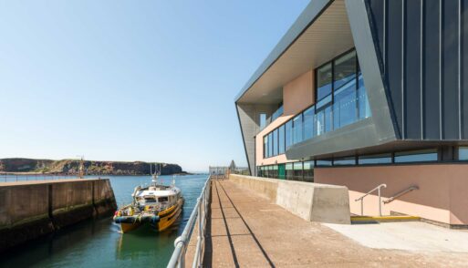 NnG_Feature-3840×2160