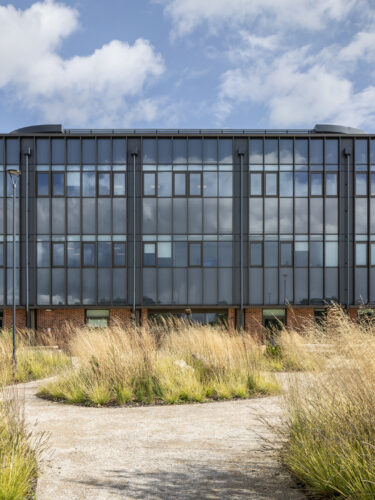 Bluelight-Header-Hero_Dorset_2560x1440