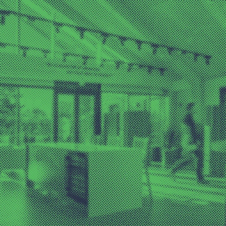 Impact_Report_Header-Feature