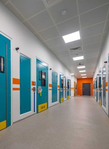 Bluelight-Page-Quote04-736x1000px