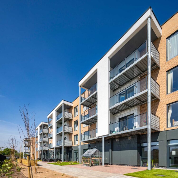 Saxon_Court_Feature